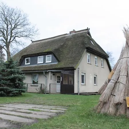 Flori - Auf Hiddensee In