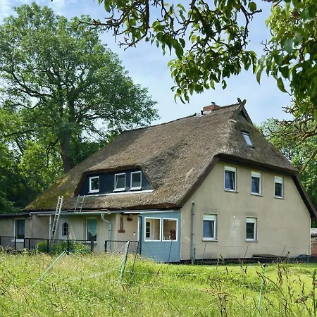 Apartment Flori - Auf Hiddensee In